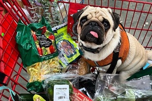 Does Trader Joe’s Allow Dogs